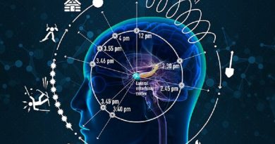 HOW THE BRAIN TRACKS TIME HOW THE BRAIN TRACKS TIME