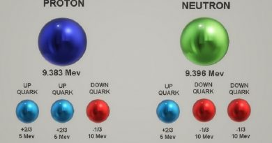 THE NEUTRON IS SLIGHTLY NEGATIVE THE NEUTRON IS SLIGHTLY NEGATIVE